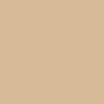 Colors Exterior Paint PPG1086 4 Pony Tail